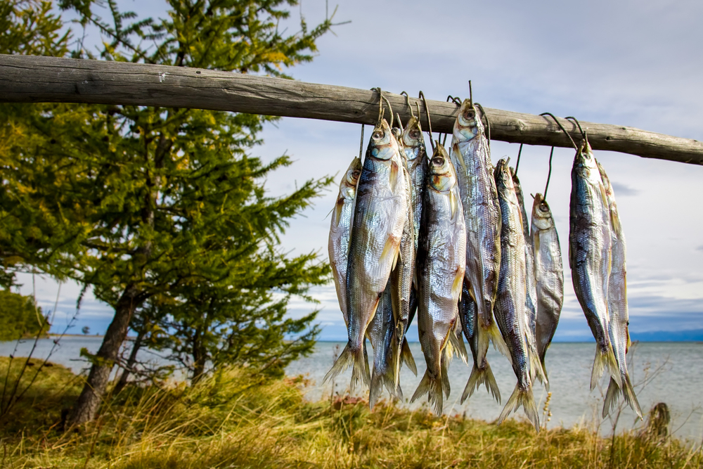 Russia's Lake Baikal became extremely polluted by harmful toxic